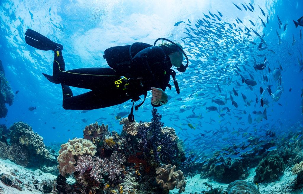 Diving in St. Kitts & Nevis