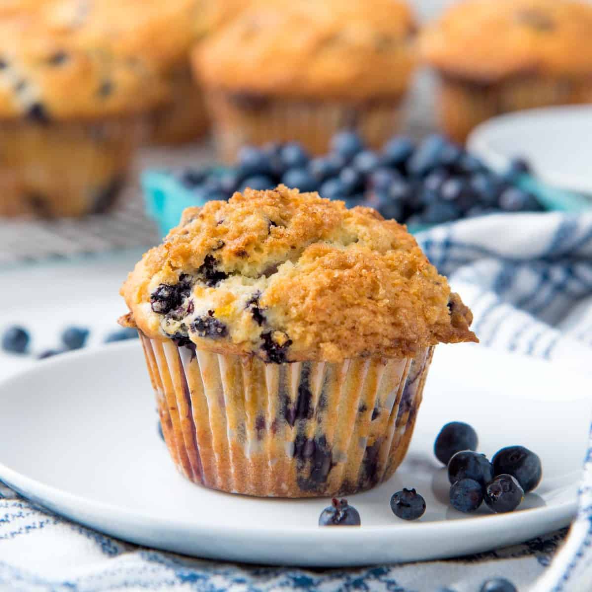 Blueberry Muffins