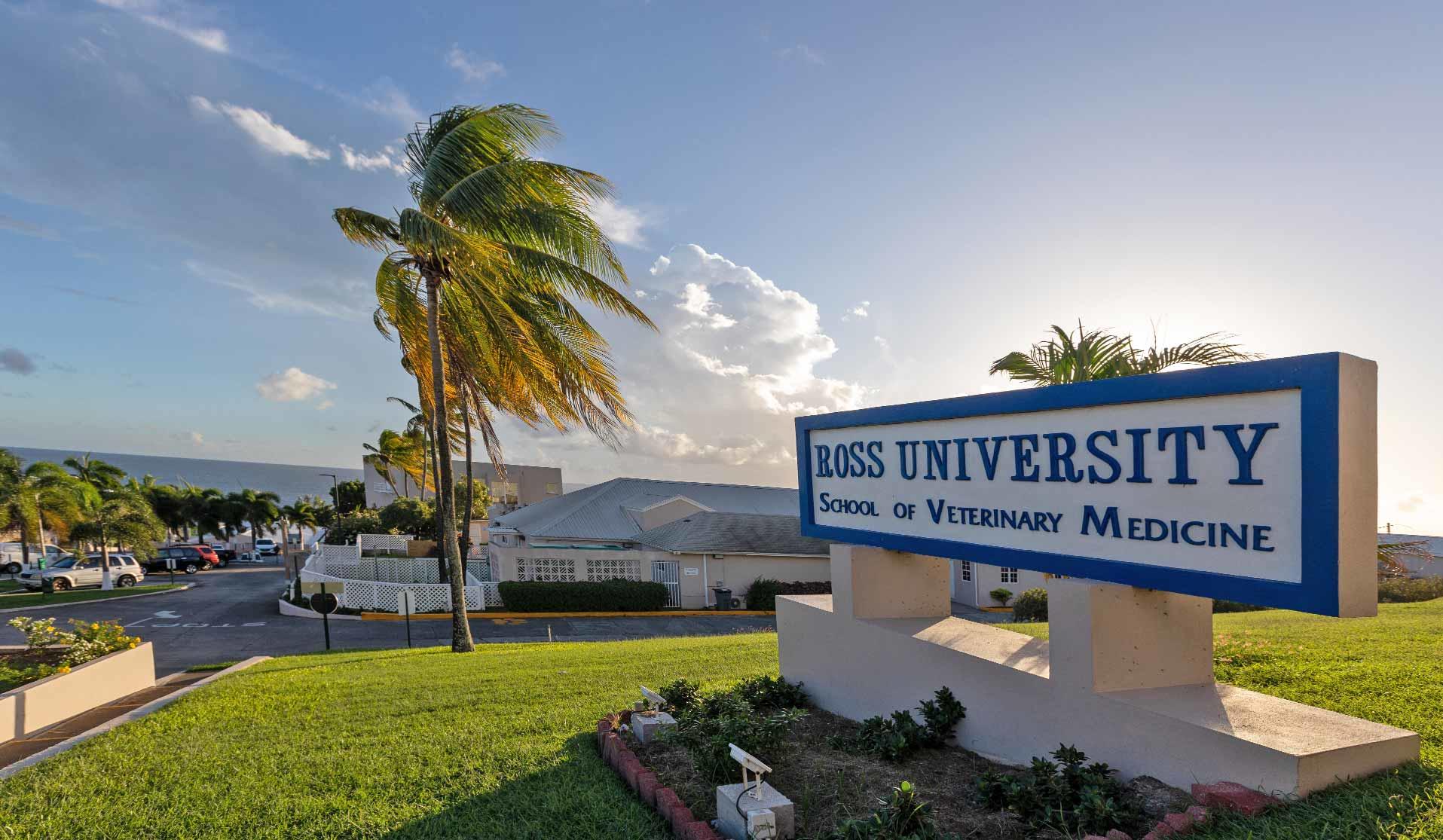 Ross University School of Veterinary Medicine (RUSVM): A Leading Vet School in St. Kitts