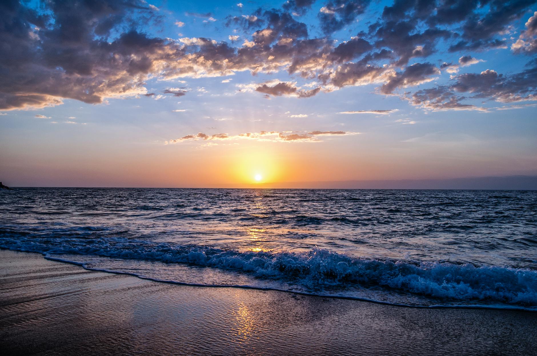 beach during sunset